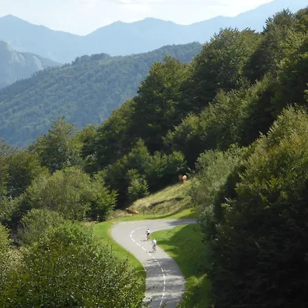 Bed & Breakfast Bedbreakfastbikespyrenees Loubieres