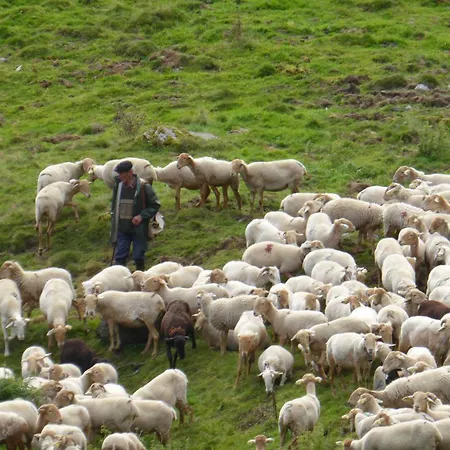 Bedbreakfastbikespyrenees 3*