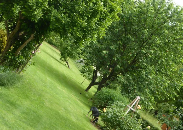 Bedbreakfastbikespyrenees Bed & Breakfast 3*