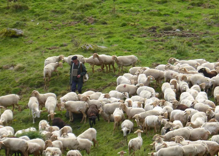 Bedbreakfastbikespyrenees 3*