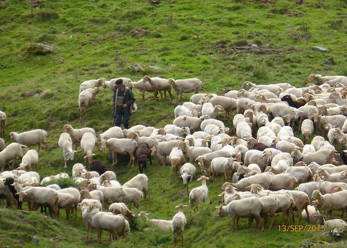 Bed & Breakfast Bedbreakfastbikespyrenees 3*